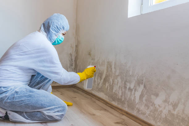 Hvac And Air Duct Mold Remediation inspection of HVAC system in Rockville Centre