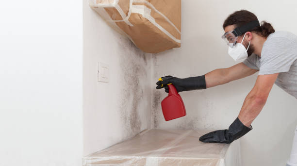 Attic Mold Remediation treatment on roof deck in Rockville Centre